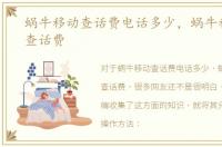 蜗牛移动查话费电话多少，蜗牛移动怎么查话费