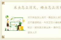 床虫怎么消灭，褥虫怎么消灭