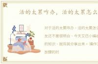 活的太累咋办，活的太累怎么办