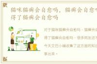 猫咪猫癣会自愈吗，猫癣会自愈吗，小猫得了猫癣会自愈吗