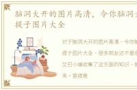 脑洞大开的图片高清，令你脑洞大开的菩提子图片大全