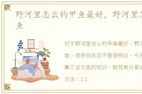 野河里怎么钓甲鱼最好，野河里怎么钓甲鱼
