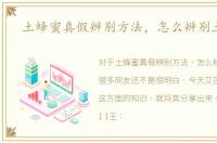 土蜂蜜真假辨别方法，怎么辨别土蜂蜜