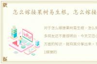 怎么嫁接果树易生根，怎么嫁接果树