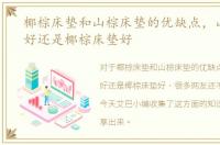 椰棕床垫和山棕床垫的优缺点，山棕床垫好还是椰棕床垫好
