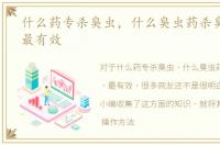 什么药专杀臭虫，什么臭虫药杀臭虫最好、最有效