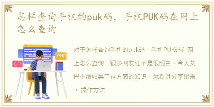 怎样查询手机的puk码，手机PUK码在网上怎么查询