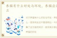 养猫有什么好处与坏处，养猫应该注意什么