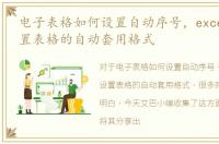 电子表格如何设置自动序号，excel如何设置表格的自动套用格式
