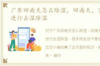 广东回南天怎么除湿，回南天，室内如何进行去湿除湿