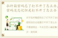 拉杆箱密码忘了打不开了怎么办，拉杆箱密码没忘记但是打不开了怎么办