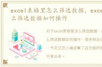 excel表格里怎么筛选数据，excel表格怎么筛选数据如何操作