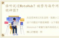 谁听说过WotoHub？被誉为海外网络名人营销神器？