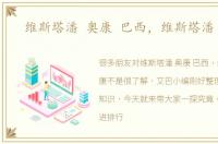 维斯塔潘 奥康 巴西，维斯塔潘 奥康