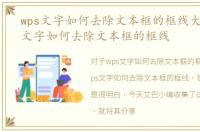 wps文字如何去除文本框的框线大小，wps文字如何去除文本框的框线