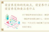 寝室养宠物的优缺点，寝室养什么宠物好，寝室养宠物要注意什么