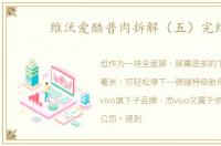 维沃爱酷普肉拆解（五）完结