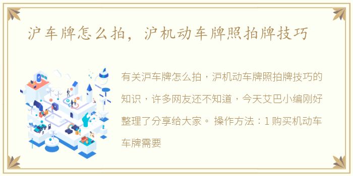 沪车牌怎么拍，沪机动车牌照拍牌技巧