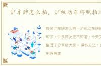 沪车牌怎么拍，沪机动车牌照拍牌技巧