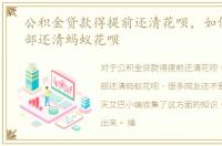 公积金贷款得提前还清花呗，如何提前全部还清蚂蚁花呗