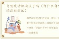自吸发动机淘汰了吗（为什么自吸发动机还没被淘汰）