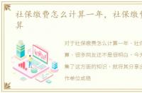 社保缴费怎么计算一年，社保缴费怎么计算