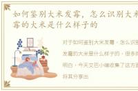 如何鉴别大米发霉，怎么识别大米发霉,发霉的大米是什么样子的