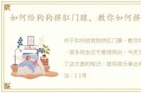 如何给狗狗挤肛门腺，教你如何挤肛门腺