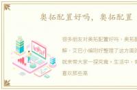 奥拓配置好吗，奥拓配置