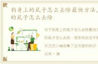 狗身上的虱子怎么去除最快方法，狗身上的虱子怎么去除