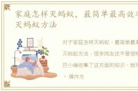 家庭怎样灭蚂蚁，最简单最高效率的家庭灭蚂蚁方法