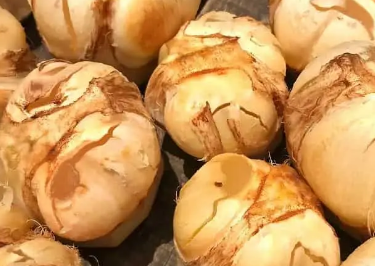 抵御夏季热浪的十大清凉食物