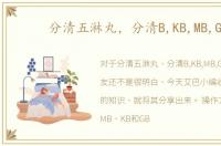 分清五淋丸，分清B,KB,MB,GB