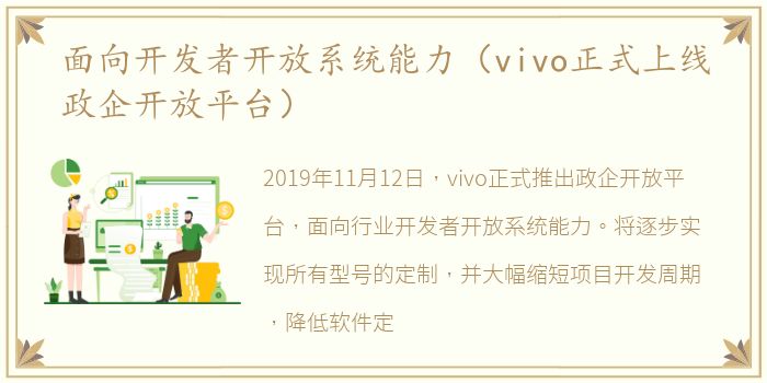 面向开发者开放系统能力（vivo正式上线政企开放平台）