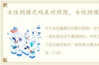 女性胸围尺码表对照图，女性胸围尺码表
