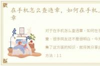 在手机怎么查违章，如何在手机上查找违章
