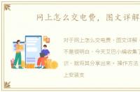 网上怎么交电费，图文详解
