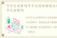 可卡犬好养吗可卡犬的性格特点分析，可卡犬好养吗