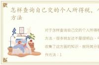 怎样查询自己交的个人所得税，个税查询方法