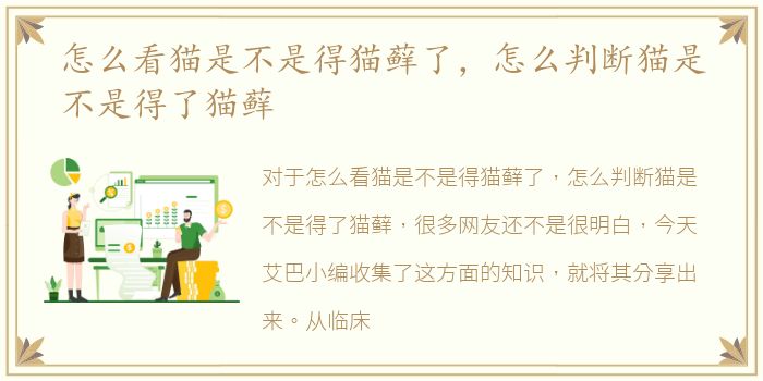怎么看猫是不是得猫藓了，怎么判断猫是不是得了猫藓