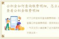 公积金如何查询缴费明细，怎么在支付宝查看公积金缴费明细