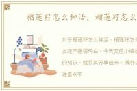榴莲籽怎么种活，榴莲籽怎么种
