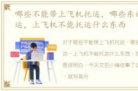 哪些不能带上飞机托运，哪些东西不能托运，上飞机不能托运什么东西