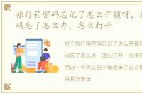 旅行箱密码忘记了怎么开锁呀，旅行箱密码忘了怎么办，怎么打开