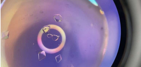 新研究或有助于设计更好的癌症治疗方法