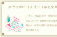 格力空调h1代表什么（格力空调h1）