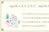 mp2格式是什么样子（mp2格式）