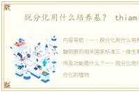 脱分化用什么培养基？ thiamine