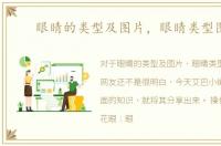 眼睛的类型及图片，眼睛类型图解