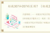 标致307和207的区别？（标致207）